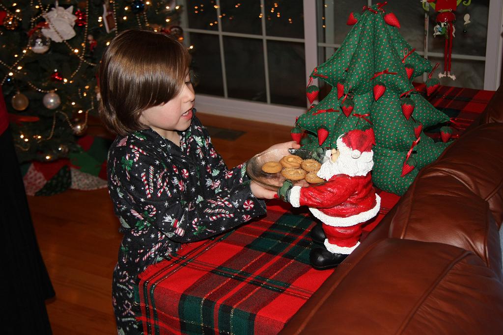 IMG_0869.jpg - Cookies for Santa and his reindeer.