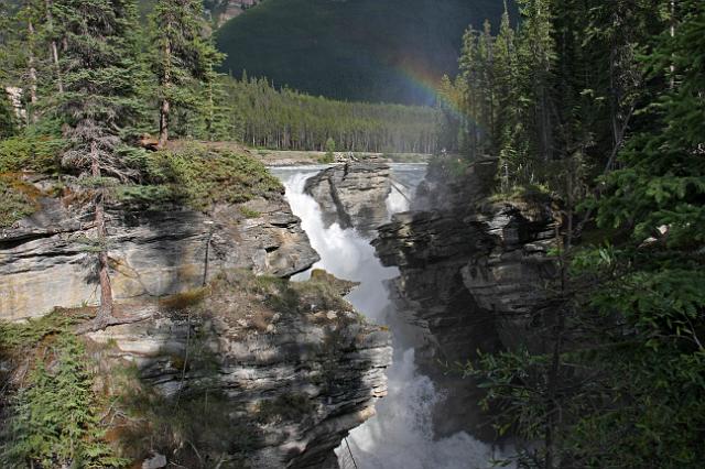 IMG_2563.JPG - Athabasca Falls.