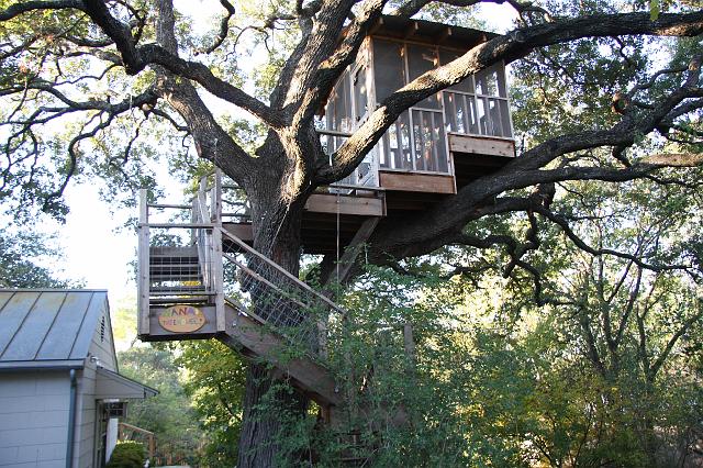 IMG_0699.jpg - A cool tree house at the Chick Paradise, a gluten-free bed and breakfast in San Antonio.